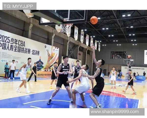 沈梓捷的篮球之路：从青涩少年到CBA明星的奋斗历程与成长故事